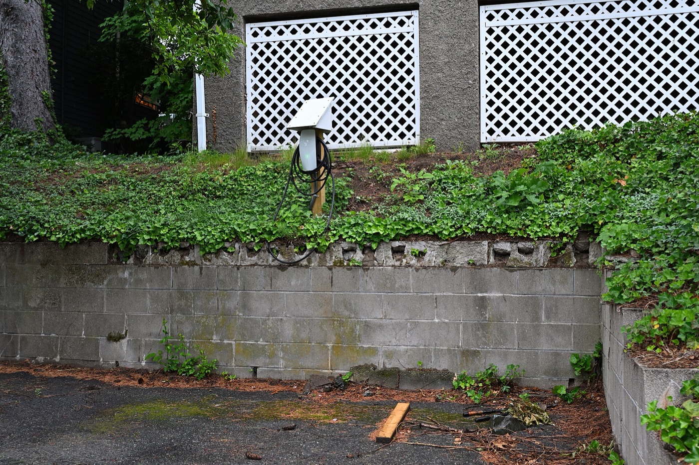 Level 2 EV charger on a dedicated 240 volt circuit